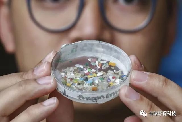 關(guān)于“微塑料”的危害，你了解多少？